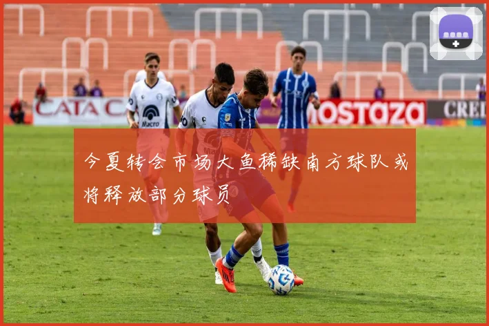 今夏转会市场大鱼稀缺南方球队或将释放部分球员
